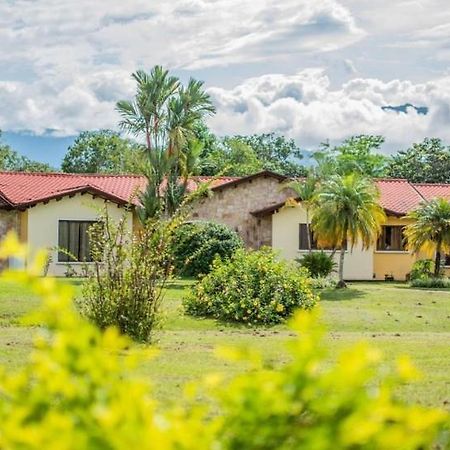 Linda Casa De Verano Con Amplias Zonas Verdes San Isidro De El General المظهر الخارجي الصورة