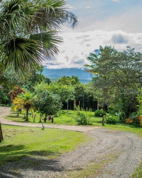 Linda Casa De Verano Con Amplias Zonas Verdes San Isidro De El General المظهر الخارجي الصورة