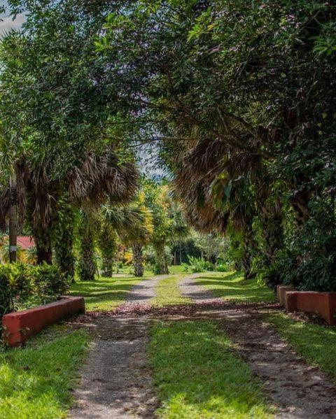 Linda Casa De Verano Con Amplias Zonas Verdes San Isidro De El General المظهر الخارجي الصورة
